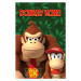 Plakát, Obraz - Nintendo - Donkey Kong And Diddy Kong