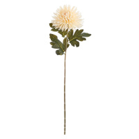FLORISTA Chryzantéma 73 cm - krémová