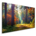 Plátno Podzimní Les V Ranním Slunci Varianta: 70x50