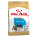 Royal Canin Shih Tzu Puppy - Výhodné balení 2 x 1,5 kg
