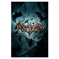 Umělecký tisk Batman Arkham Asylum -  Logo, 26.7 × 40 cm