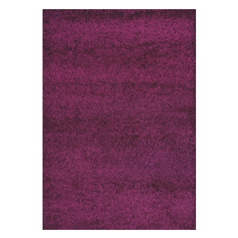 Medipa (Merinos) koberce Kusový Koberec Shaggy Plus Purple 957 - 200x290 cm