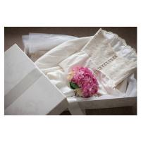 Fotografie Pink hydrangea on wedding dress  in box, Tom Merton, 40x26.7 cm