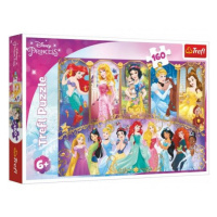 Puzzle Portréty princezen Disney 41x27,5cm 160 dílků v krabici 29x19x4cm