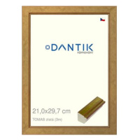 DANTIK rámeček 21 × 29,7, TOMAS zlatý sklo čiré