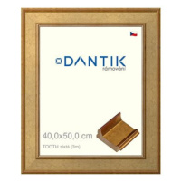 DANTIK rámeček 40 × 50, TOOTH zlatý sklo čiré