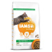 IAMS Cat Adult Lamb 10 kg