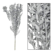 Sušina ruscus barvená větev stříbrná 75cm