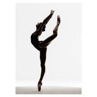 Umělecká fotografie Ballerina attitude on pointe, Nisian Hughes, (30 x 40 cm)