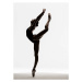 Fotografie Ballerina attitude on pointe, Nisian Hughes, (30 x 40 cm)