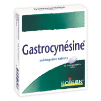 Gastrocynésine 60 tablet