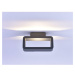 PAUL NEUHAUS LED- venkovní nástěnné svítidlo, antracit, moderní design 3000K PN 9668-13