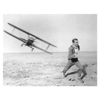 Fotografie Cary Grant, 40x30 cm