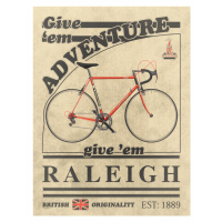 Ilustrace Raleigh Bicycle Vintage Style Advert, Wyatt 9, 30 × 40 cm