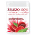 Železo 100% + vitamin C + kopřiva tbl.90