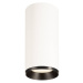 SLV BIG WHITE NUMINOS CL DALI L vnitřní LED přisazené stropní svítidlo bílá/černá 4000 K 24° 100