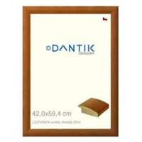 DANTIK rámeček 42 × 59,4, LEDVINKA světle hnědý plexi čiré