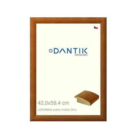 DANTIK rámeček 42 × 59,4, LEDVINKA světle hnědý plexi čiré