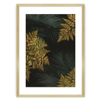 Dekoria Plakát Golden Leaves II, 70 x 100 cm, Zvolit rámek: Zlatý