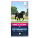 Eukanuba Mature Large 15 kg