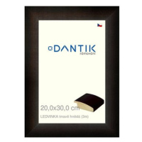 DANTIK rámeček 20 × 30, LEDVINKA tmavě hnědý sklo čiré