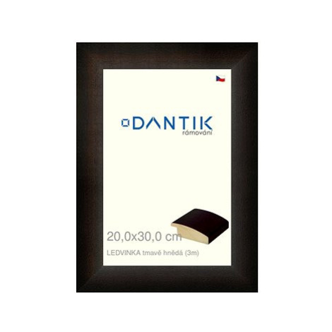 DANTIK rámeček 20 × 30, LEDVINKA tmavě hnědý sklo čiré