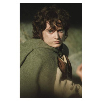 Umělecká fotografie Frodo, (26.7 x 40 cm)