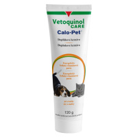Vetoquinol Calo-Pet Energeticky bohatá vitamínová pasta psi a kočky 120 g