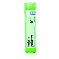 BOIRON Ledum Palustre CH5 4 g