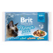 Brit Premium Cat D Fillets in Gravy Dinner Plate 340g