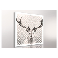 Obraz na plátně SCANDI DEER M různé rozměry Ludesign ludesign obrazy: 80x80 cm