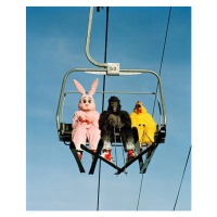 Fotografie People wearing animal costumes riding ski lift, Matthias Clamer, (35 x 40 cm)