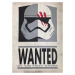 Plakát, Obraz - Star Wars - Wanted Trooper, (61 x 91.5 cm)