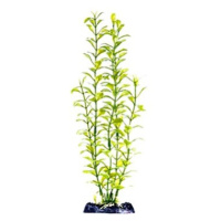 Penn Plax Blooming Ludwigia Green 33 cm
