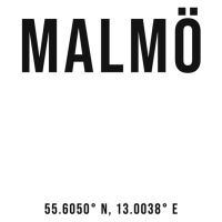 Ilustrace Malmo simple coordinates, Finlay & Noa, (30 x 40 cm)