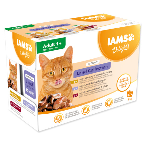 Iams Cat suchozemské maso v omáčce 12 x 85 g