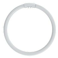 NBB LC 22W T5/840 G10q 116322002