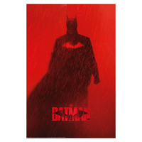 Plakát The Batman 2022 - Rain (64)