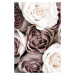 Fotografie Roses, Studio Collection, 26.7 × 40 cm