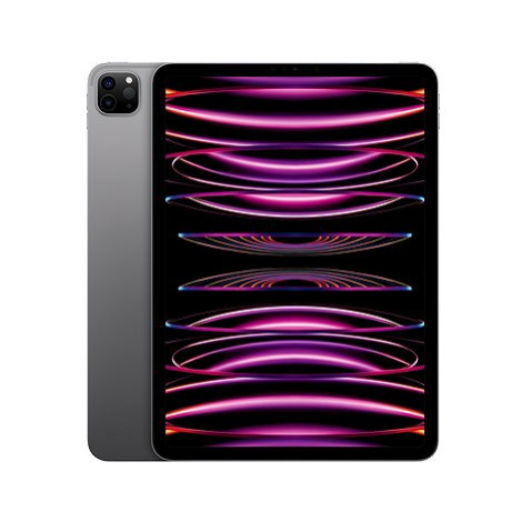 iPad Pro 11" 1TB M2 Vesmírně šedý 2022 Apple