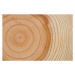 Fotografie Tree rings texture background, kyoshino, 40 × 26.7 cm