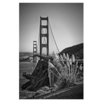 Fotografie San Francisco Golden Gate Bridge, Melanie Viola, (26.7 x 40 cm)