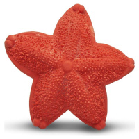Lanco Kousátko Mořská hvězdice