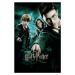 Umělecký tisk Harry Potter and The order of the Phoenix, 26.7 × 40 cm