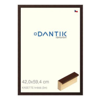 DANTIK rámeček 42 × 59,4, KASSETTE hnědý plexi čiré