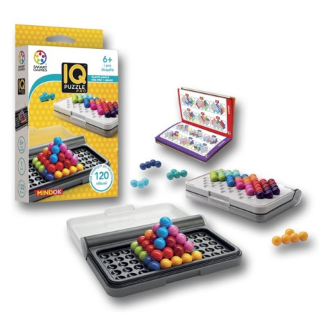 IQ Puzzle Pro Smart Games