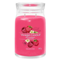 YANKEE CANDLE Signature sklo 2 knoty Red Raspberry 567 g