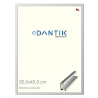 DANTIK rámeček 30 × 40, ALU profil 7269 Stříbrný matný plexi čiré