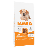 IAMS Advanced Nutrition Puppy Large kuřecí - 12 kg