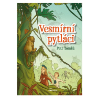 Vesmírní pytláci